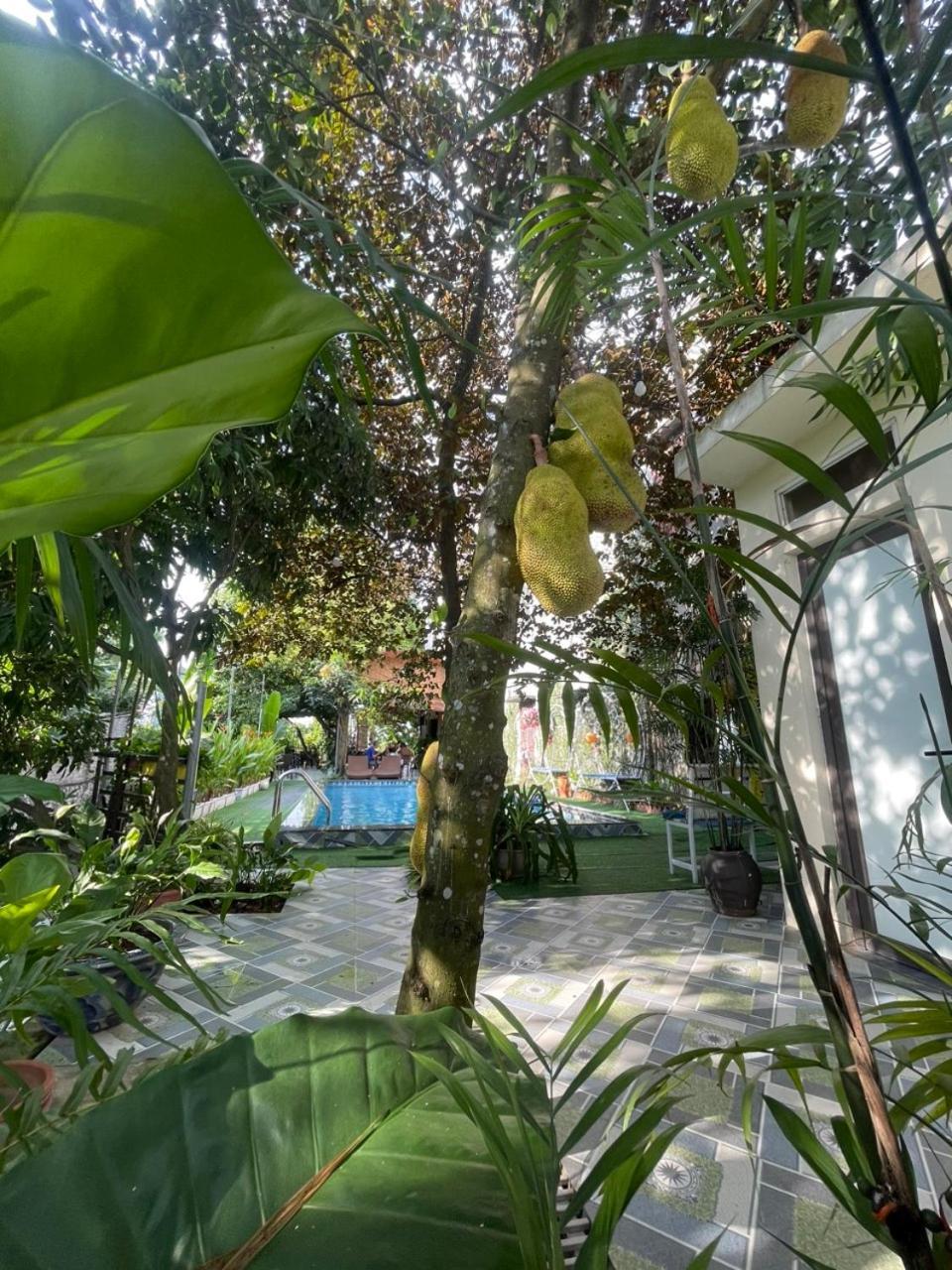 Tam Coc Relax Homestay ニンビン エクステリア 写真